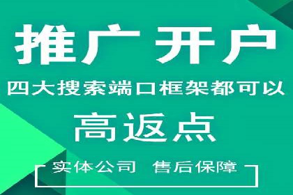 SEM推广实战：案例分析及优化路径